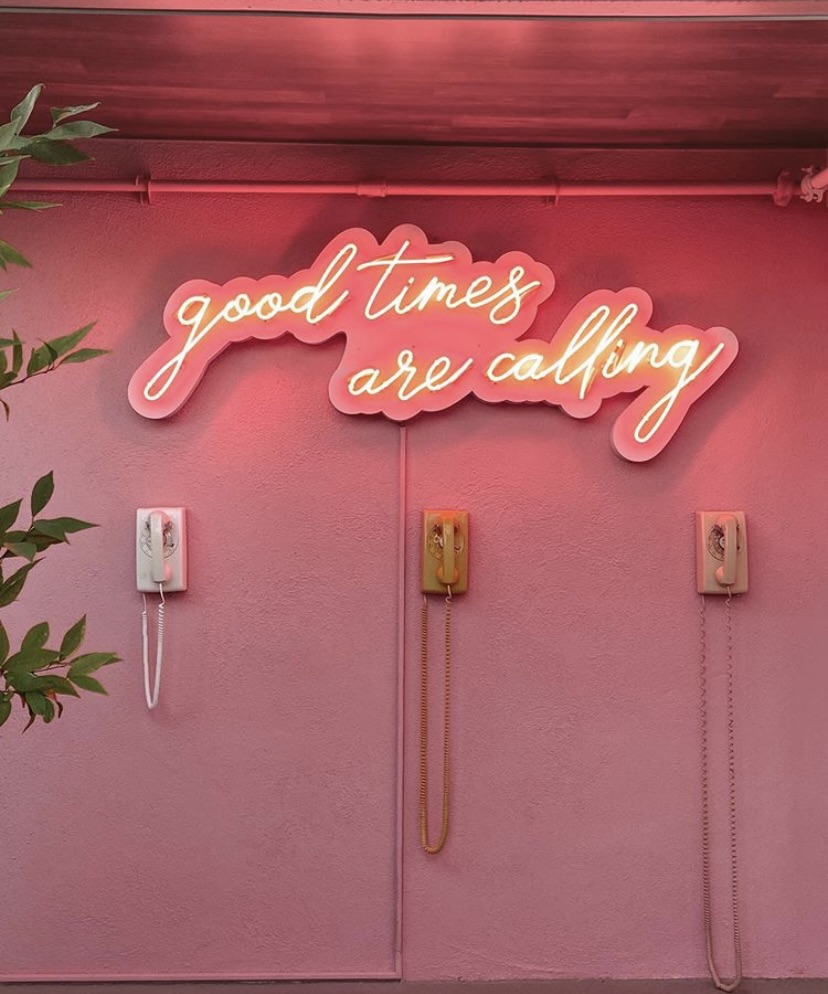 Ring bearer delivering the rings